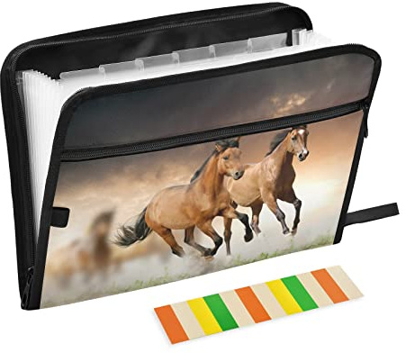 Mnsruu Pferd im Sonnenuntergang 13 Taschen Fächermappe mit Etiketten, Akkordeon-Aktenordner Aktenordner Brief A4 Papier für Büro Schule Student