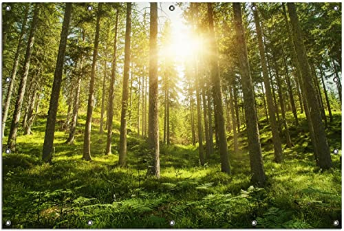 Wallario Outdoor-Poster für Garten oder Balkon Sonnenstrahlen im Nadelwald mit Moos und Farn, Motivbanner Größe: ca. 120 x 180 cm, Outdoor-Bild