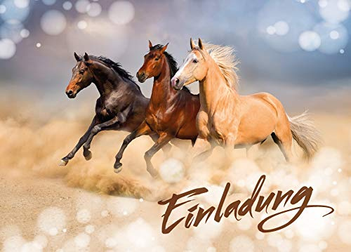 JuNa-Experten 6 Einladungskarten Geburtstag Kinder Mädchen drei Pferde/Pferd/Einladung Kindergeburtstag/Geburtstagseinladung/Tiere