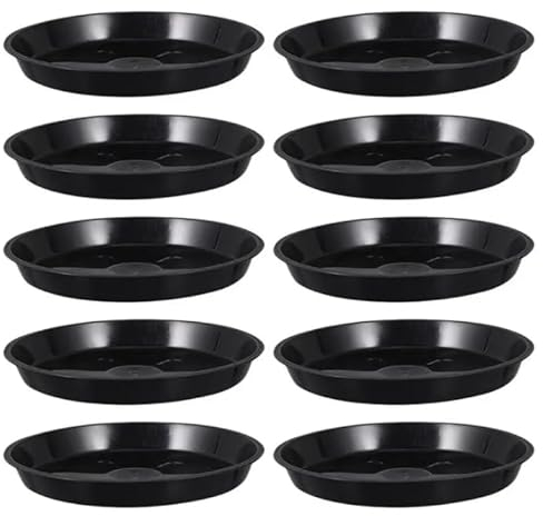 GROWMANIA Pack 10 Platos Redondos Negros para Macetas Diámetro 24 cm - Plato Plástico para Maceteros