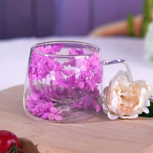 Richaa Tasse à café en verre isotherme à double paroi avec poignée 200 ml - Tasse à café expresso en verre borosilicate - Cadeau original