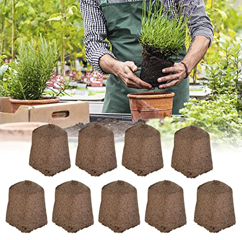 BAOFUYA 50Pcs Growth Plugs, Seed Starter Rapid Rooter Plugs Grow Sponges for Indoor Hydroponic Growing System