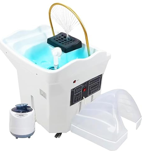 Équipement pour Spa Capillaire, Bac à Shampoing à Circulation D'eau avec Grand Réservoir D'eau de 60L, Fumigation/Luminothérapie/Soins Capillaires, pour Station de Lavage des Cheveux