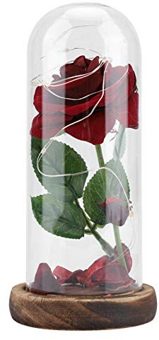 Pansqize Rose Eternelle sous Cloche, Rose en Verre de Cristal La Belle et La Bete Rose avec des lumières LED Fleurs éternelles pour Mamie Femme Maman, Cadeau Fête des Grand Mères(Rouge)