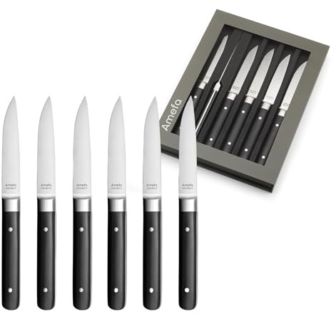 Amefa Fusion Coffret 6 couteaux steak