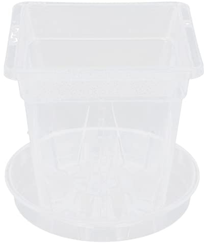 Happyyami 5 Ensembles Pots en Plastique Plateaux terreau pour Plantes d'intérieur Pots d'orchidées avec des Trous Pot orchidé pour orchidé de Fleur jardinière de départ Transparent