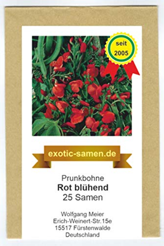Prunkbohne Rot blühend - Feuerbohne - 25 Samen