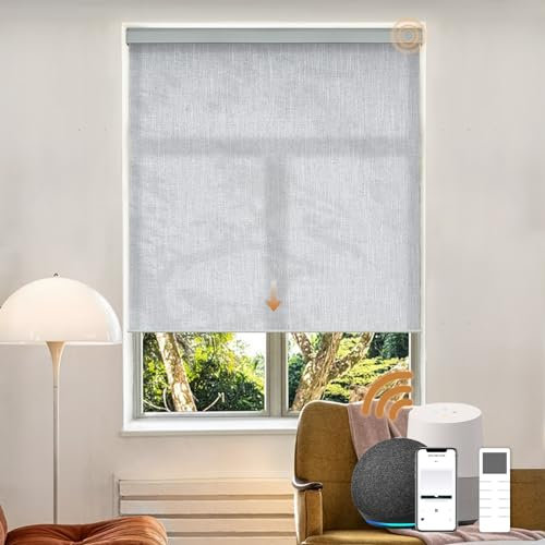 Motorized Light Filtering Roller Shades with Remote Control, Electric Smart Shades Compatible with Alexa and Google, Rechargeable, Customizable Size (Textured Light Gray)