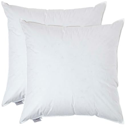 HOMESCAPES Coussin de garnissage en Plumes de Canard et Coton, Coussin à recouvrir 65x65 cm – Lot de 2