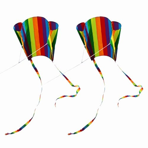 ATSNOSH 2 Stück Drachen für Kinder und Erwachsene, mit Langem Schwanz, Flugspielzeug für Outdoor Einfacher Flugdrachen, Regenbogendrachen, Flugdrachen Kinder, Bunter Taschendrachen (2 Stück)