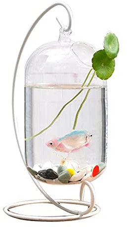 FURUIWUFENG Aquarium Kreativglas transparente Rack-Fischbehälter-Rack Betta-Fisch-Tank-dekorative Fisch-Tankwasser-Pflanzen-Tank-Büro-Haushalt Aquarium-Kit