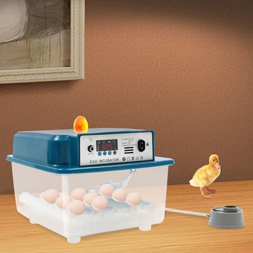 Qussse Vollautomatische Brutmaschine für 16 Eier, Brutkasten Hühner Inkubator mit Automatischem Eierdrehen und Automatischer Wasserzugabe für Zuchtanlagen Labors Bauernhöfe Märkte