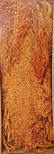 Decpero Trockenblumen Sortiment I Sparpackung 350 g I getrocknete Gräser I Papaya orange