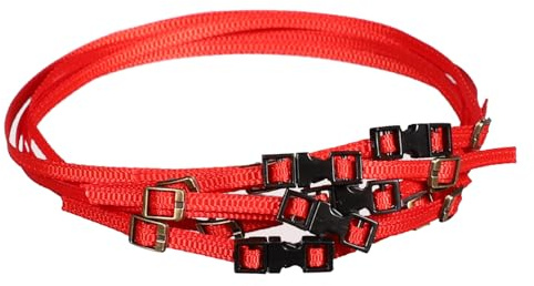 5 Pack RC Crawler Roof Rack Tie Down Straps with Buckles, 300mm, for 1/10 1/18 1/24 Scale Models Compatible with SCX24 TRX4M TRX4 TRX6 SCX10 (Red)