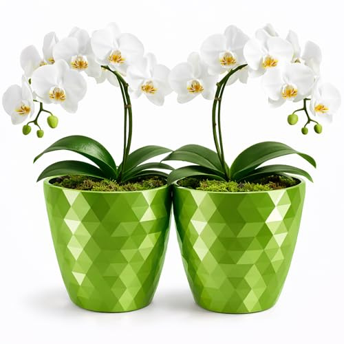 PECZEKO glänsande blomkruka, plastblomkruka, dekorativ blomkruka för stora och små blommor, set om 2 blomkrukor, blomkruka, örtkruka, (2-pack) grön, ø 16 cm