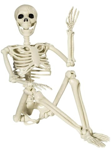 KEELYY Halloween-Skelett 90 cm mit bewegbaren Gelenken - realistische Innenausstattung - Faschingsparty-Zubehör