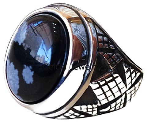 Baltischer Bernstein, echter Edelstein, klassischer antiker Ring, stilvoller Modering, Siegelring, zarter Ring, Statement-Ring, Vatertagsgeschenk, oxidierter Silberring
