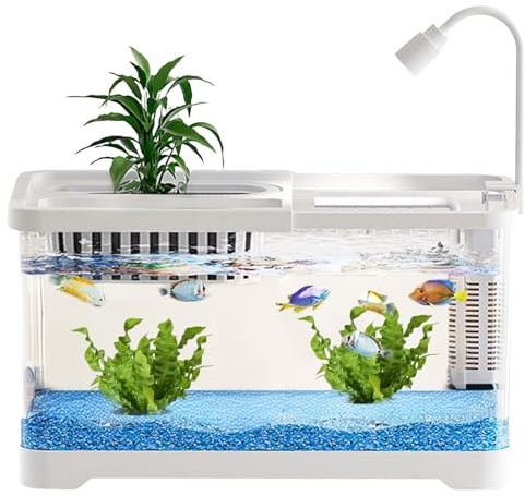 Petit Aquarium à Poissons - Aquarium pour Combattant avec Filtre - Bocaux Paysage Nourrisseur Clairs pour Guppy Crevettes Escargots Débutants Amoureux des Animaux De Compagnie Bureau Appartement