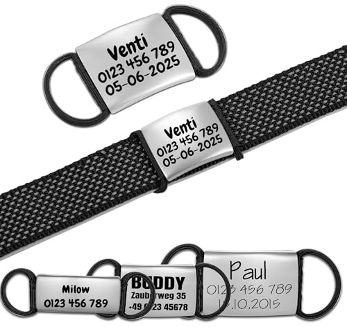 Lautlose Hundemarke mit Gravur - Personalisierter Steck-Anhänger (Name, Telefon) - Geräuschlos Schild für Hunde, Katzen - Perfekt für Halsband und Geschirr, Silber, L