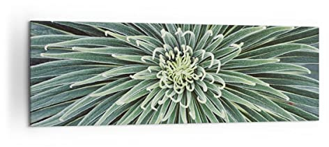 ARTTOR Bilder auf Leinwand 160x50cm Wandbild Botanik Blumen - 4905 | Agave Grün Pflanze Panorama Groß XXL Wanddekoration Wohnzimmer Schlafzimmer Wanddeko Wand Kunstdruck Wandkunst ARTTOR