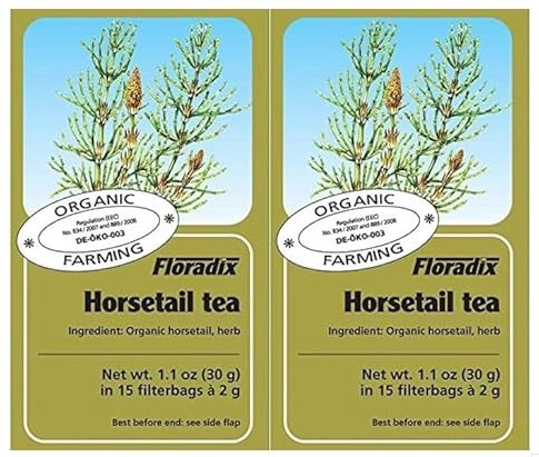 Floradix Tisane Prêle Bio 15 Sachets Lot de 2