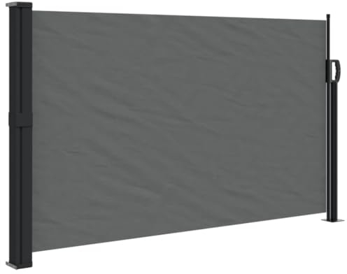 vidaXL Toldo Lateral retráctil Gris Antracita 120x600 cm