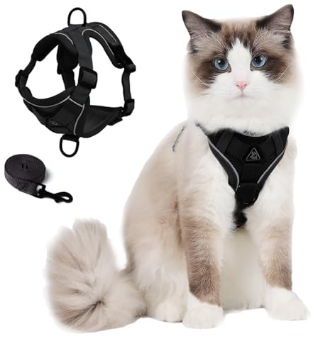 Skmeditec Katzengeschirr und Leine: verbesserte ausbruchsichere Weste mit Leine für große Katzen, kleine Hunde, Welpen, Spaziergänge, weiche Jacke mit reflektierenden Streifen, Schwarz, Größe M