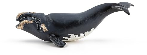 Papo - Realistische Glattwal-Figur - 3 Jahre + - Kollektion Meereswelt - Lernspiel Meeressäugetiere - Geschenkidee Spielzeug für Mädchen und Jungen