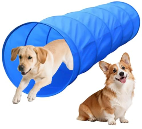 Hunde-Agility-Parcours-Garten-Set Trainingsgerät mit Tunnel | Hunde-Outdoor-Spielgeräte Für Strände, Spielplätze, Felder, Wettkämpfe, Freizeitgestaltung, Parkanlagen, Gartenanlagen und