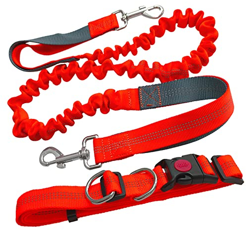 Aiqeer Orange Freihändige Hundeleine, Verstellbarer Hüftgurt und Dehnbare Bungee-Leine, Jogging Hundeleine mit Reflektierenden Nähten (Grau Griff)