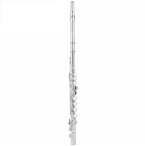 Querflöte Instrument Flöte 16 Löcher C-Klappe Versilbert E-Klappe Musikserie Anfänger Orchester Weiße Kupferflöte