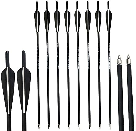 AMEYXGS 12pcs Mixed Carbon Pfeile 16 17 18 20 22für Jagd oder Bogenschießen Praxis für Compound- und Recurve-Bögen Traditionelles Bogenschießen im Freien (22, Schwarz)