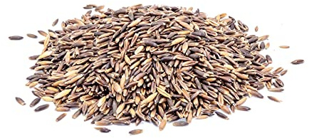 StaWa Schwarzhafer, Hochwertiges Einzelfuttermittel für Pferde, Ungesättigte Fettsäuren und Schleimstoffe, gut verdaulich und schmackhaft, 100% Naturprodukt, 25 kg