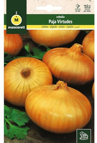 Mascarell Semillas, CEBOLLA, Semillas Huerto, CEBOLLA DE LAS VIRTUDES, Crea tu Propio Huerto Urbano y Cultivo en Casa, Plantas Hortícolas, 4 Gramos