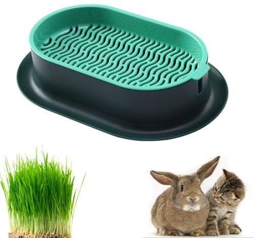 Armastuse 1 jardinera para hierba gatera, cultivo de plantas hidropónicas, germinación bandeja para hierba para gatos, apto para todos los gatos, cultivo de hierba gatera orgánica