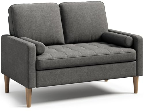 Blishom Divano a 2 posti, Divanetto,Piccolo Divano con braccioli con 2 cuscini per soggiorno,camera da letto,ufficio,facile da montare,121 x 76 x 87 cm,Grigio scuro