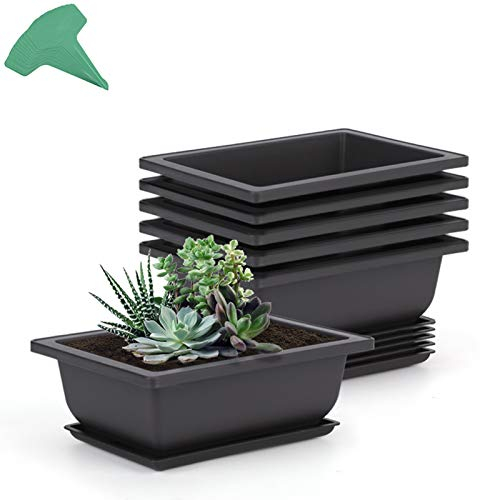 GROWNEER 6 Packs 6.5 Inch Bonsai Training Pots with Humidity Trays and 15 Pcs Plant Labels, Plastic Bonsai Tree Planter Growing Pot for Garden Yard Office Living Room Balcony
