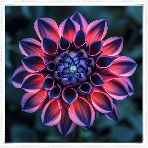 Mysteriöse magische Glühbirne,Mehrjährige Blumenzwiebel ist winterhart, Winterhart pflanzen, 2025 Blumenzwiebel Mix-2 Dahlien Zwiebeln-G