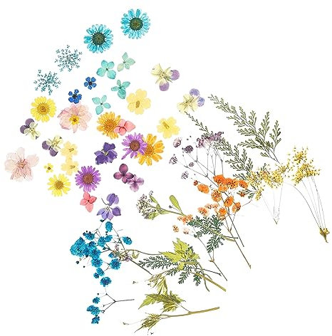 VILLFUL 4taschen Trockenblumen Zur Dekoration Tüten DIY Getrocknete Blumen Naturgetroffen Und Schön Langlebig Verblassend Für Bastelprojekte Und Geschenke