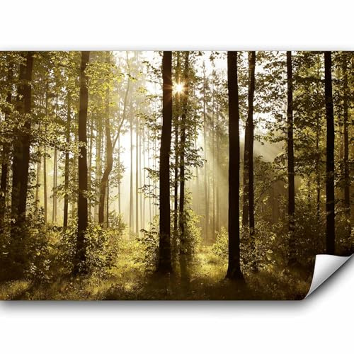 murando - Vlies Fototapete Wald 450x315cm- Foto Tapete Schlafzimmer Wohnzimmer Vliestapete XXL Wandtapete Motivtapeten Bildtapete 3d Effekt Wand Dekoration - Landschaft Natur Wald Bäume c-B-0254-a-a