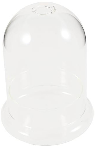 DECHOUS Glasterrarium Glasbehälter Für Pflanzen Moosterrarium Durchsichtige Glasglocke Zur Schaustellung Diy-mikrolandschaftsflasche Für Wohnzimmer Balkon Garten