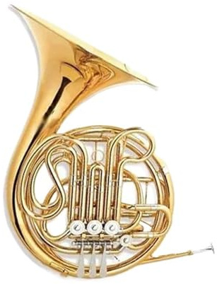 Bb Waldhorn Professionelle Leistung Musikliebhaber Erwachsene Bb F Taste Doppeltes Waldhorn