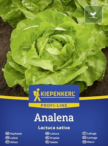 Kiepenkerl Kopfsalatsamen Analena 50913, Gemüsesaat