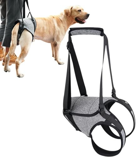 Hundegeschirr zum Heben – Unterstützung Reha-Geschirr, Hundegeschirr zum Anheben von hinten, Haustier-Gehhilfe, tragbares Senioren-Hundegeschirr, Hinterbeinstütze, Haustier-Gehhilfen für große Hunde