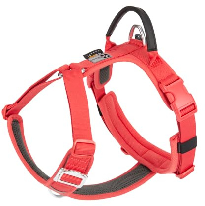 SMALL COMBINATION Hundegeschirr, ausbruchsicher, verstellbare Weste mit strapazierfähigem Griff, Hundegeschirr für Outdoor-Training, Spazierengehen, Grün, M (Rot, S)