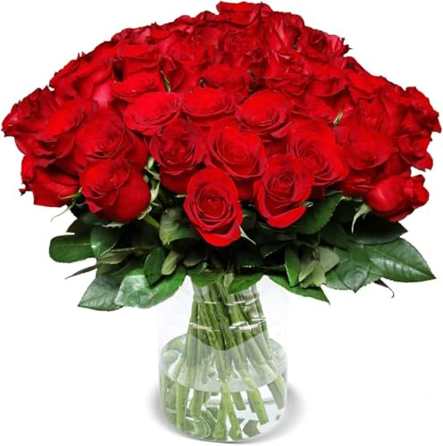 Blume Ideal Rosenstrauß | 70 Rote Rosen | Ø 40–50 cm | Echte Premium Rosen für Hochzeit & Deko | 7 Tage Frischegarantie | In verschiedenen Farben und Mengen