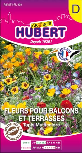 Graines de Fleurs Pour Balcons & Terrasses - Tapis Multicolore - 1,5 grammes