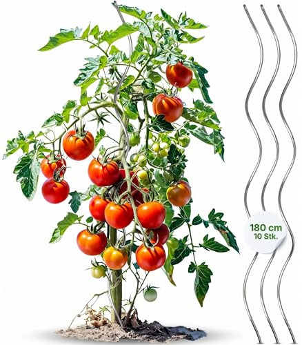 Gartenwelt Riegelsberger Tomatenspirale 180 cm – 10 Stück Tomatenstäbe aus Stahl Ø 5,6 mm, stabile Pflanzenstütze für Tomaten & Kletterpflanzen, wetterfest für Garten & Gewächshaus