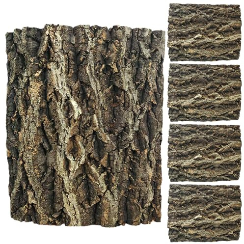 DINHEAROM Lot de 5 Morceaux d'écorce de liège pour Reptiles : 10 x 20 cm (7,9 x 3,9 Pouces) - Décor de Fond pour Terrarium, Tapis d'escalade et Habitat pour Dragon Barbu