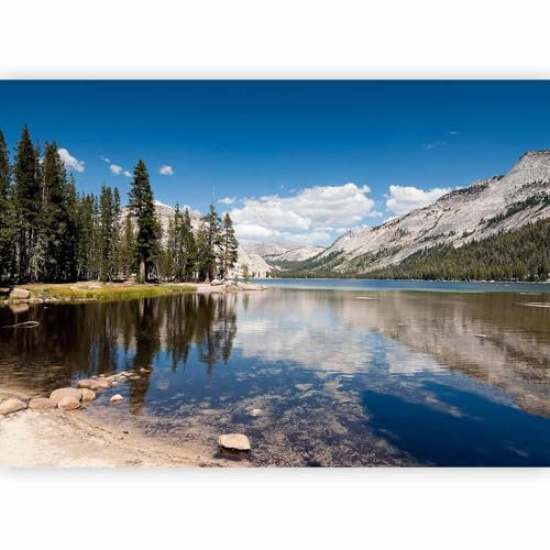 murando - Carta da Parati Adesiva Paesaggio 245x175 cm Fotomurali Adesivi Murali Rivestimento Parete Moderna per Pareti Adesiva Muro Decorativo Fotomurale Soggiorno Lago Foresta Montagna Natura